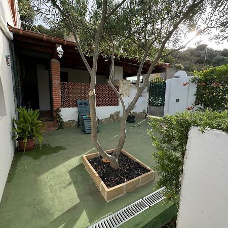 Villa Eden Rock Sea View Domus De Maria Exterior foto